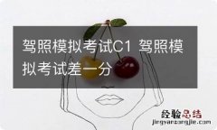 驾照模拟考试C1 驾照模拟考试差一分