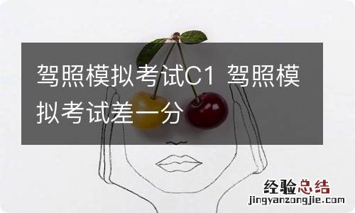 驾照模拟考试C1 驾照模拟考试差一分