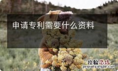 申请专利需要什么资料