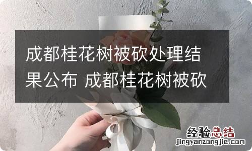 成都桂花树被砍处理结果公布 成都桂花树被砍原因