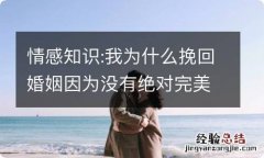 情感知识:我为什么挽回婚姻因为没有绝对完美的关系