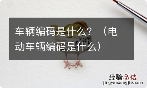 电动车辆编码是什么 车辆编码是什么？