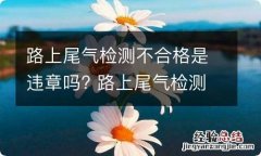 路上尾气检测不合格是违章吗? 路上尾气检测不合格是违章吗