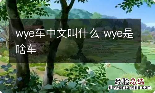 wye车中文叫什么 wye是啥车