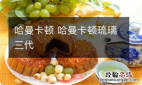 哈曼卡顿 哈曼卡顿琉璃三代