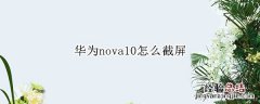 华为nova10如何截屏 华为nova10怎么截屏