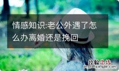 情感知识:老公外遇了怎么办离婚还是挽回