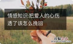 情感知识:把爱人的心伤透了该怎么挽回