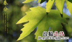 24节气每个节气的特点和风俗 春分节气的特点简介