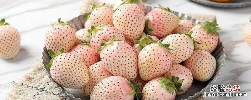 白色的草莓叫什么草莓图片 白色的草莓叫什么草莓