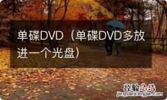 单碟DVD多放进一个光盘 单碟DVD