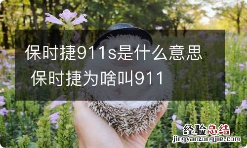 保时捷911s是什么意思 保时捷为啥叫911