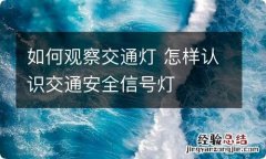 如何观察交通灯 怎样认识交通安全信号灯