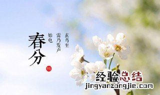 二十四节气春分简介 春分节气介绍