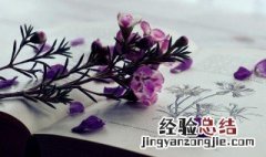 春节来临祝福语送给妈妈怎么写 春节来临祝福语送给妈妈