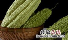 苦瓜的种植时间和方法图片 苦瓜的种植时间和方法