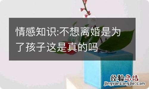 情感知识:不想离婚是为了孩子这是真的吗