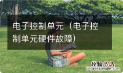 电子控制单元硬件故障 电子控制单元