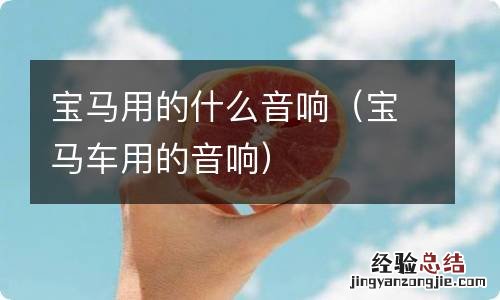 宝马车用的音响 宝马用的什么音响