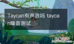 Taycan有声浪吗 taycan噪音测试