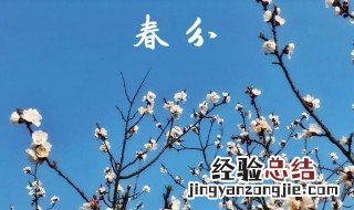 春分节气有什么禁忌 春分时节有什么忌讳