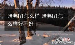 哈弗h1怎么样 哈弗h1怎么样好不好