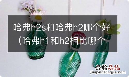 哈弗h1和h2相比哪个好 哈弗h2s和哈弗h2哪个好