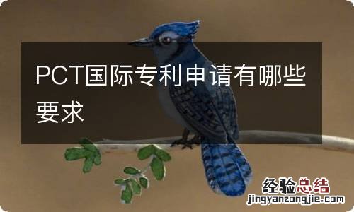 PCT国际专利申请有哪些要求