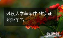 残疾人学车条件 残疾证能学车吗