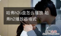 哈弗h2u盘怎么播放 哈弗h2播放器格式