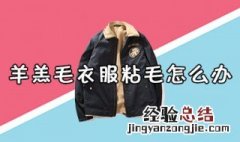 羊羔毛衣服粘毛怎么办 羊羔绒衣服粘毛怎么办