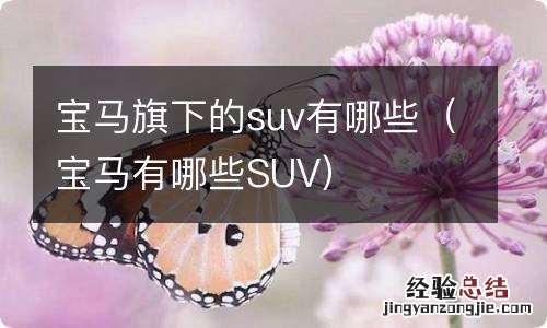 宝马有哪些SUV 宝马旗下的suv有哪些