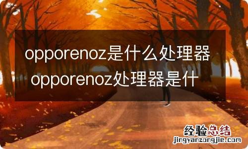 opporenoz是什么处理器 opporenoz处理器是什么