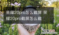 荣耀20pro怎么截屏 荣耀20pro截屏怎么截