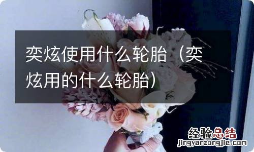 奕炫用的什么轮胎 奕炫使用什么轮胎