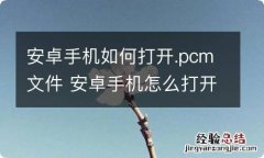 安卓手机如何打开.pcm文件 安卓手机怎么打开.pcm文件