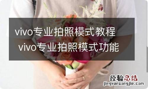 vivo专业拍照模式教程 vivo专业拍照模式功能