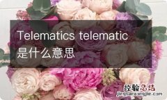 Telematics telematic是什么意思