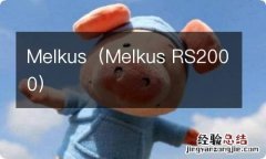 Melkus RS2000 Melkus