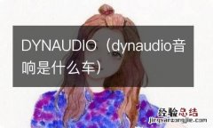 dynaudio音响是什么车 DYNAUDIO