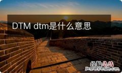 DTM dtm是什么意思