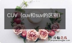 cuv和suv的区别 CUV