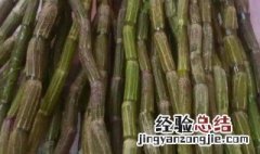 石斛怎么泡水喝方法 石斛怎么洗