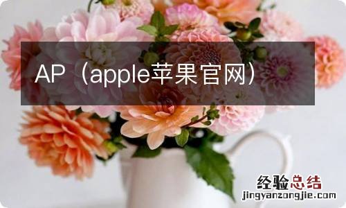 apple苹果官网 AP