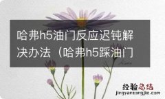 哈弗h5踩油门没反应 哈弗h5油门反应迟钝解决办法