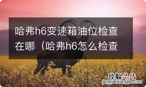 哈弗h6怎么检查变速箱液位 哈弗h6变速箱油位检查在哪