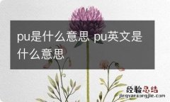 pu是什么意思 pu英文是什么意思