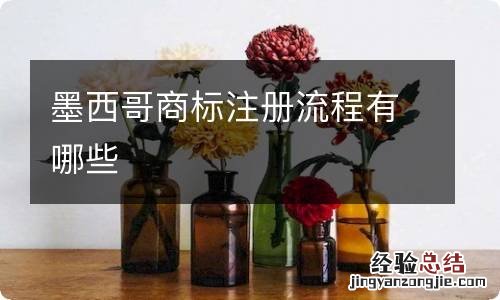 墨西哥商标注册流程有哪些