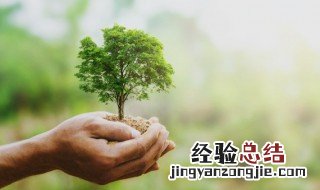 塑料袋有哪些重新利用的方法 塑料袋新利用的方法