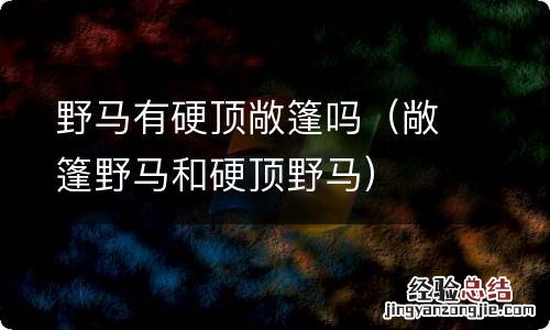 敞篷野马和硬顶野马 野马有硬顶敞篷吗